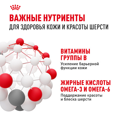 Сухой корм Royal Canin Maxi Dermacomfort для взрослых крупных пород 10 кг